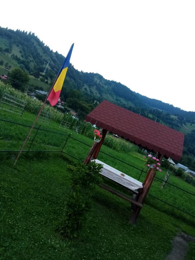 Casa Prundari Nicu Si Mirela Hotel Poiana Teiului Bagian luar foto