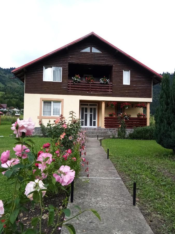Casa Prundari Nicu Si Mirela Hotel Poiana Teiului Bagian luar foto